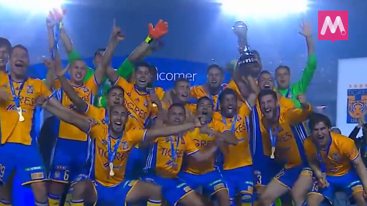 Tigres Galácticos