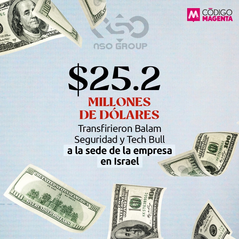 _Cod_Magenta_Galería_Gobierno_Espía_6