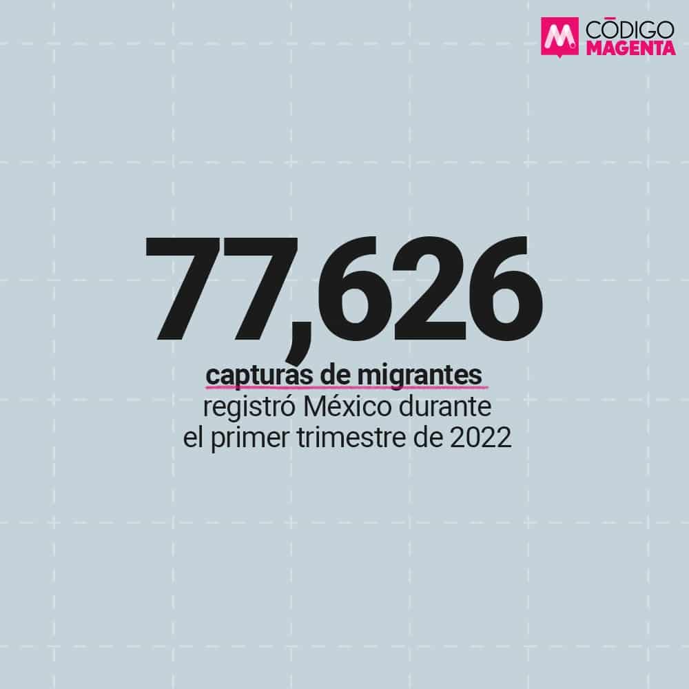 _Cod_Magenta_Galería_México_Nuevo_Muro_EEUU_2