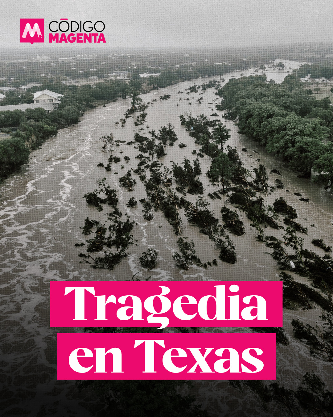 _Cod_Magenta_Galería_Tragedia_Texas_1